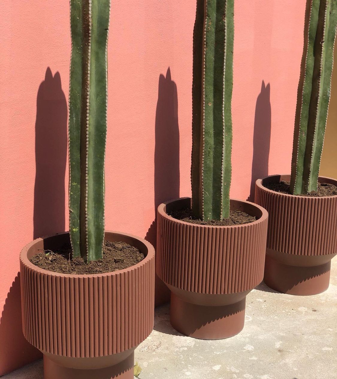 The Sticks
