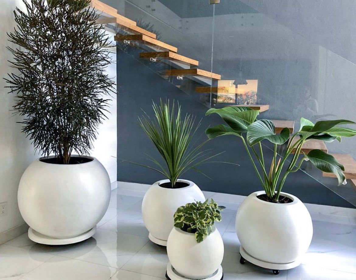 Set Sphera