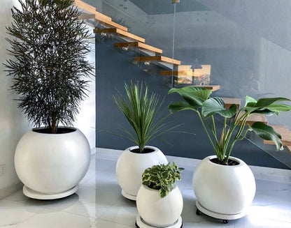 Set Sphera
